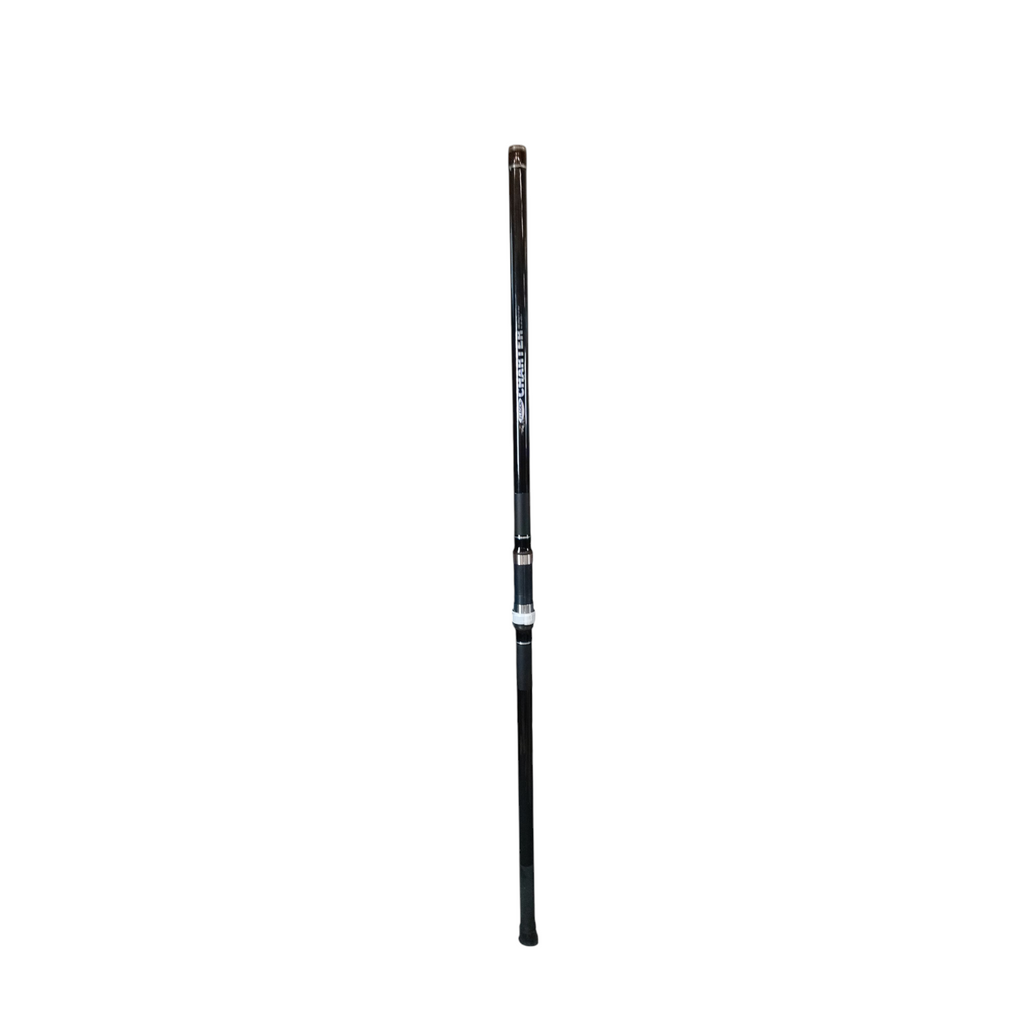 Fladen Charter Boat 195cm, 15-30Ilbs, 2-teilig