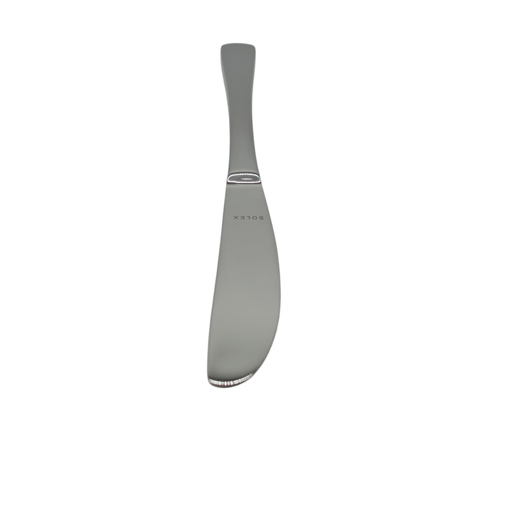 Solex Karina Tafelmesser Messer 12er Set Edelstahl 20,8 cm Silber