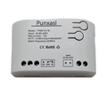 Punxasl Tuya WLAN Schaltmodul Rollläden Vorhangschalter 1 Kanal USB 5V AC