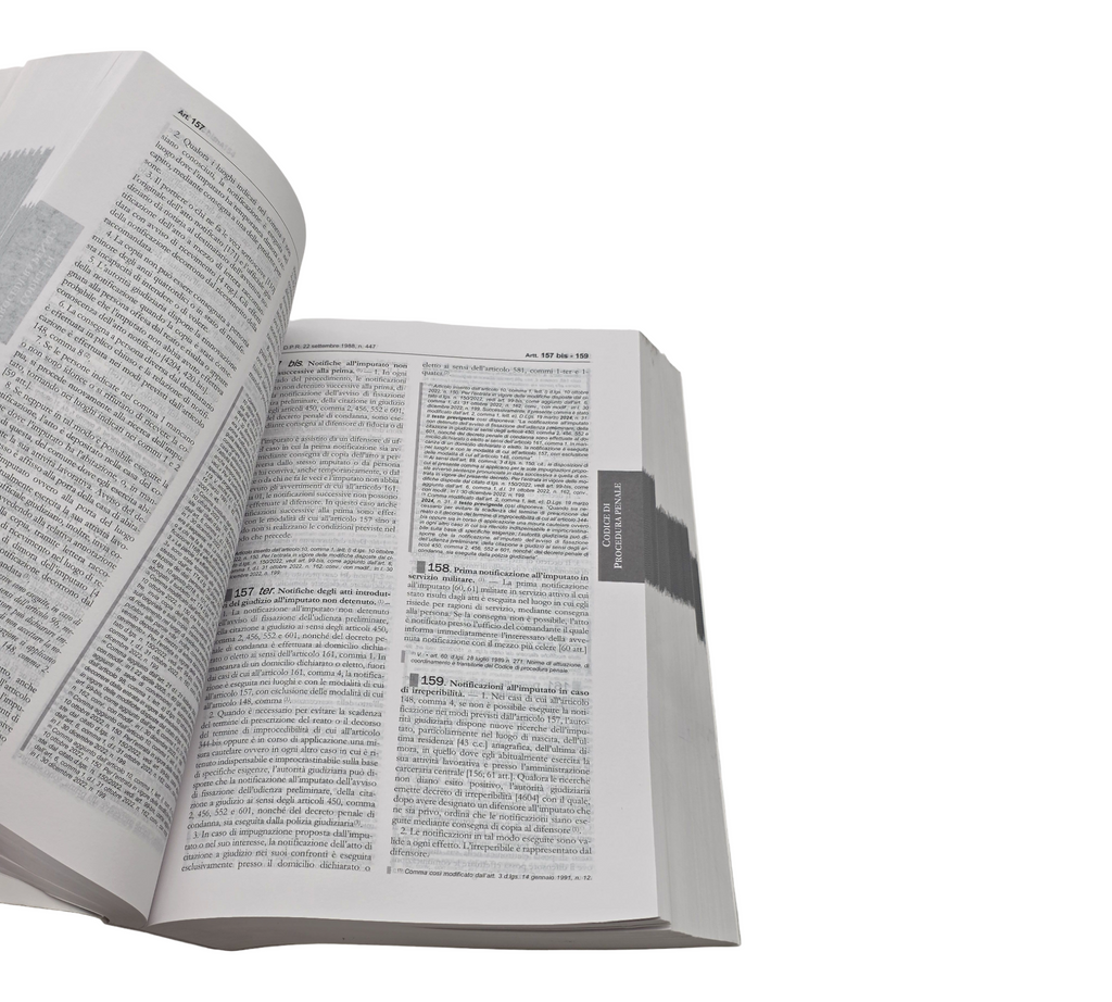 Strafgesetzbuch und Strafprozessordnung Plus 2025 L.80/2025 Sicherheitsdekret