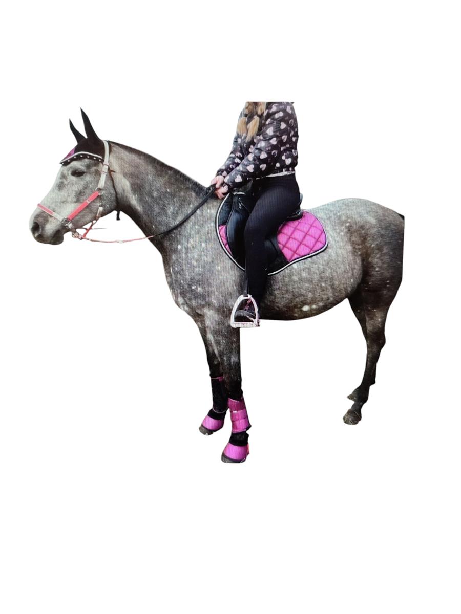 Brian and Company Italy Reitset Glitter Lila