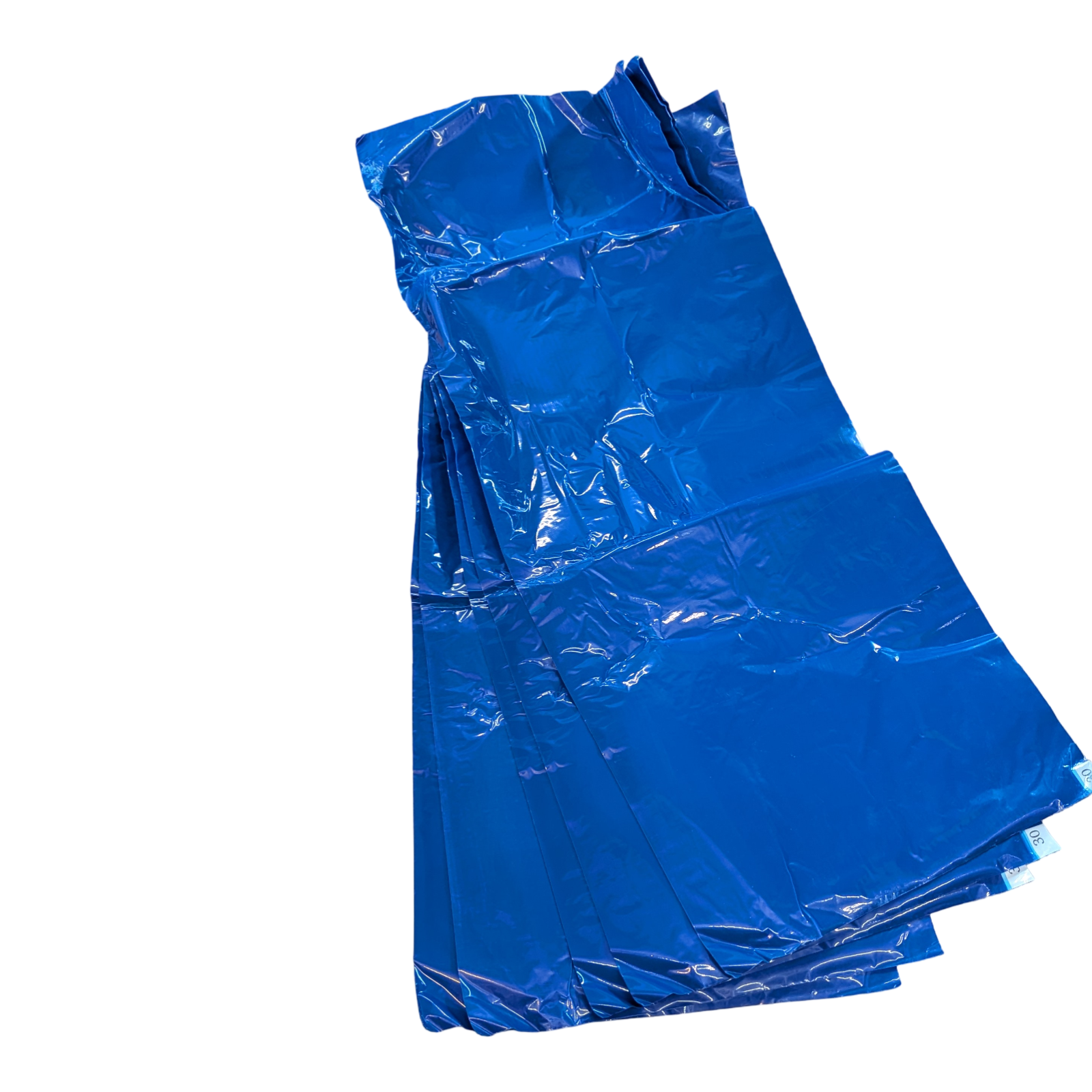 AIESI HOSPIMAT Dekontaminierungsmatte abnehmbar 30 Schichten bakteri-zid Blau 45x115 cm