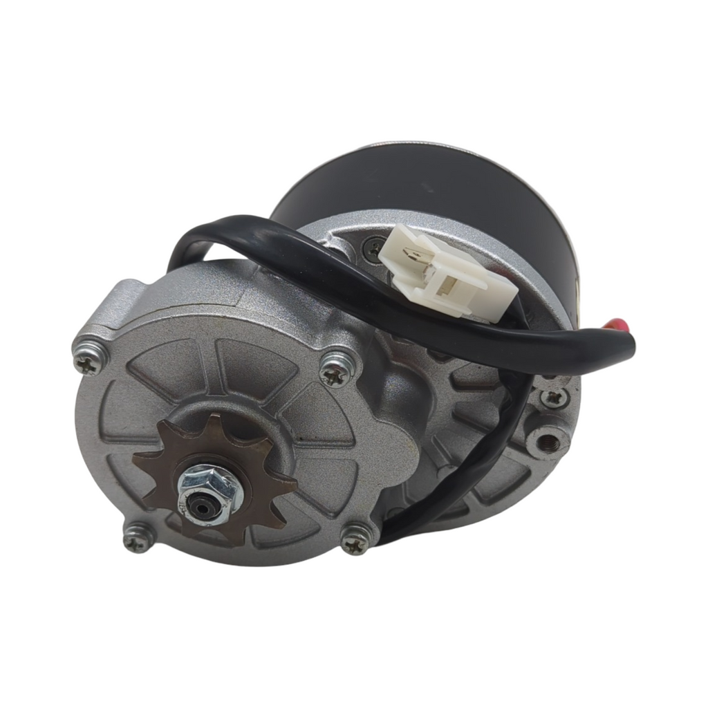 VEVOR 250W Gleichstrommotor-Bausatz Elektromotor 24V 2700U/min mit Drehzahlregler Gasgriff