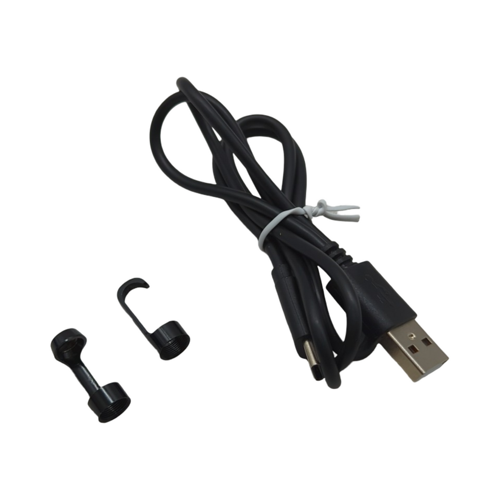 FISHOAKY Endoskop-Inspektionskamera 1920P HD mit zwei Linsen wasserdicht 3m Kabel für Automobil Wand Herren