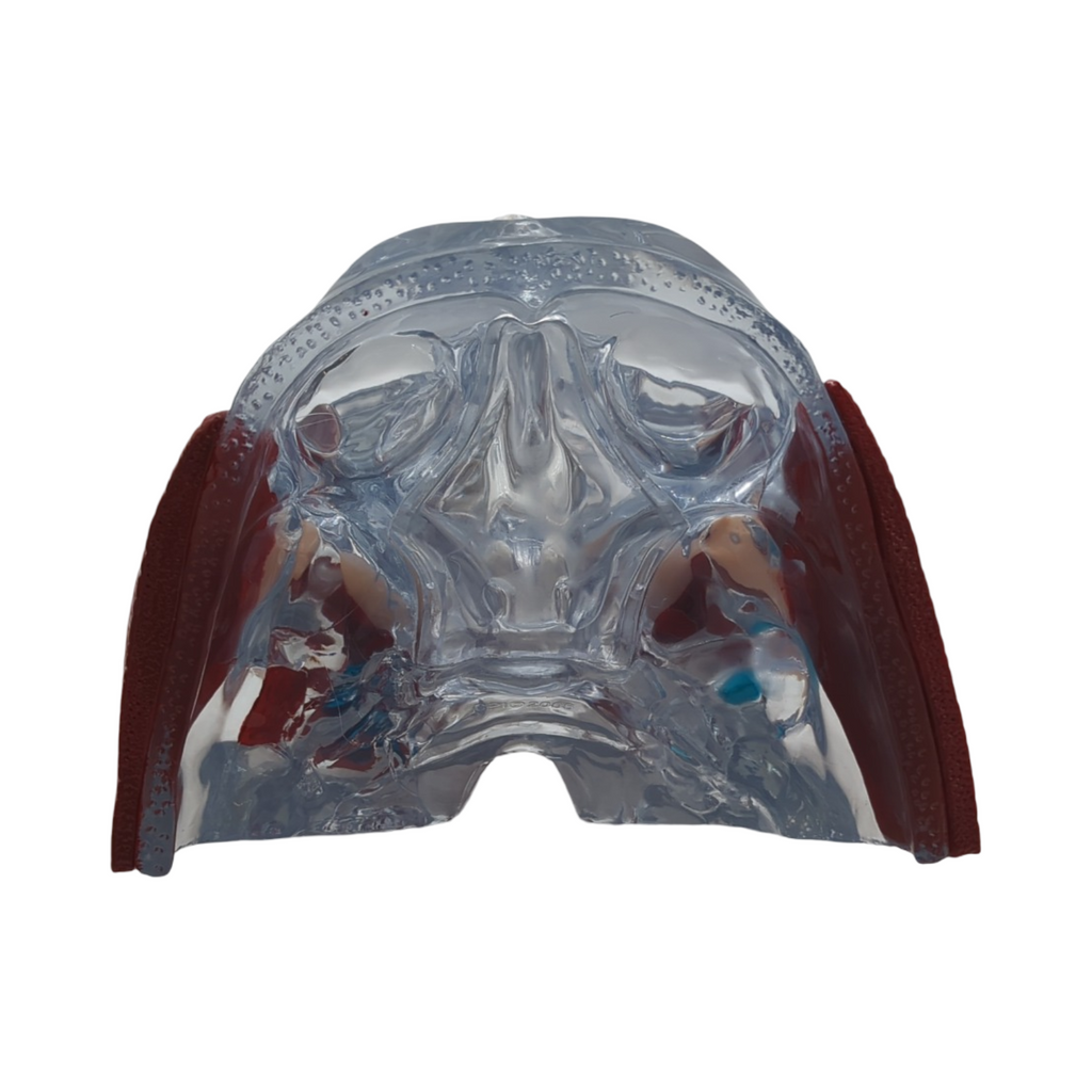 GPI Anatomicals 2880 Kiefergelenk Modell mit Muskeln für Anatomieunterricht