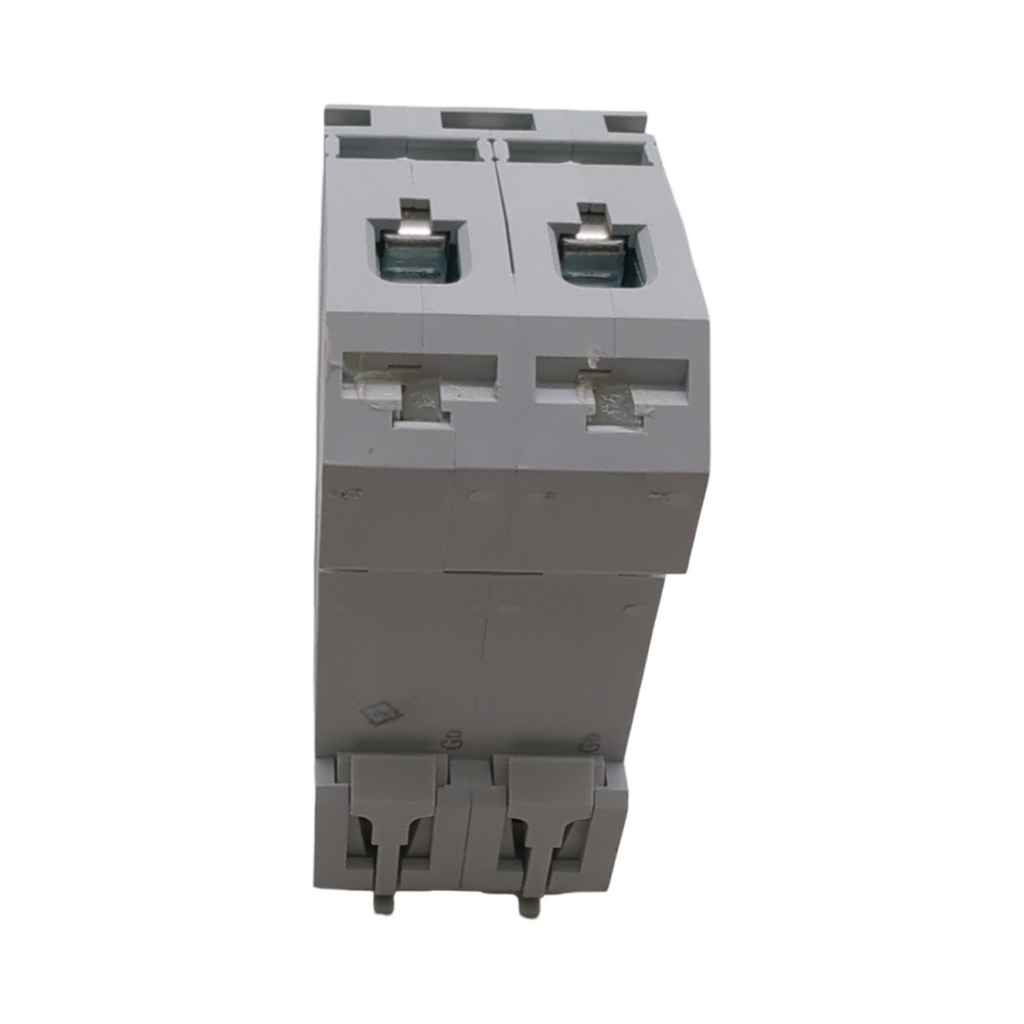 MCB 63A Leitungsschutzschalter 2-polig D-Charakteristik 10KA 220V 2 DIN-Module