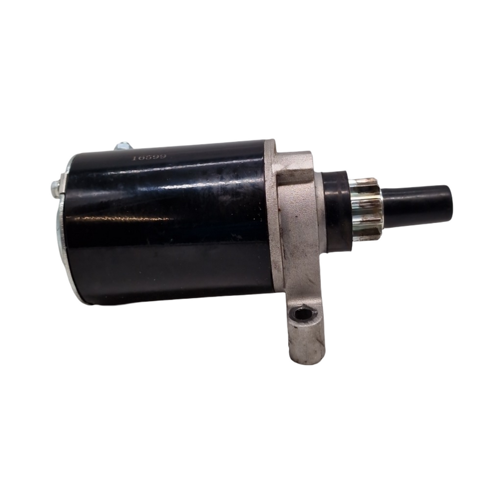 Greenstar Elektrostarter 10-Zahn-Ritzel Ersatzteil für Tecumseh Motoren