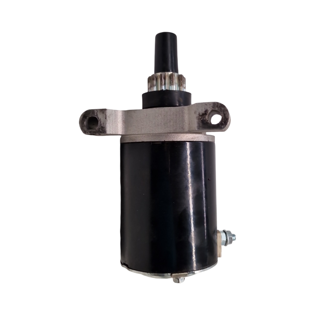 Greenstar Elektrostarter 10-Zahn-Ritzel Ersatzteil für Tecumseh Motoren