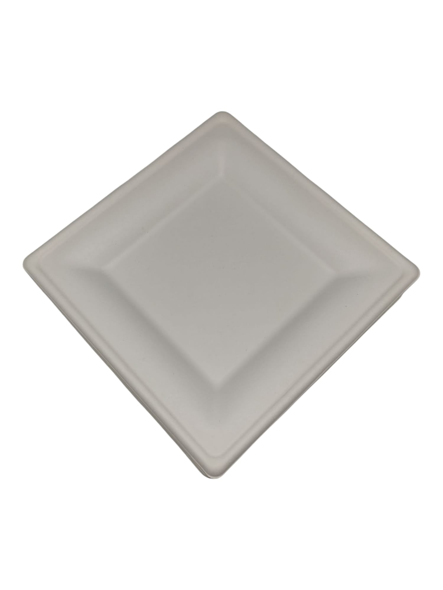 GREENBOX Bagasse Einweggeschirr Weiß 50 Stück 26x26 cm 26x13 cm