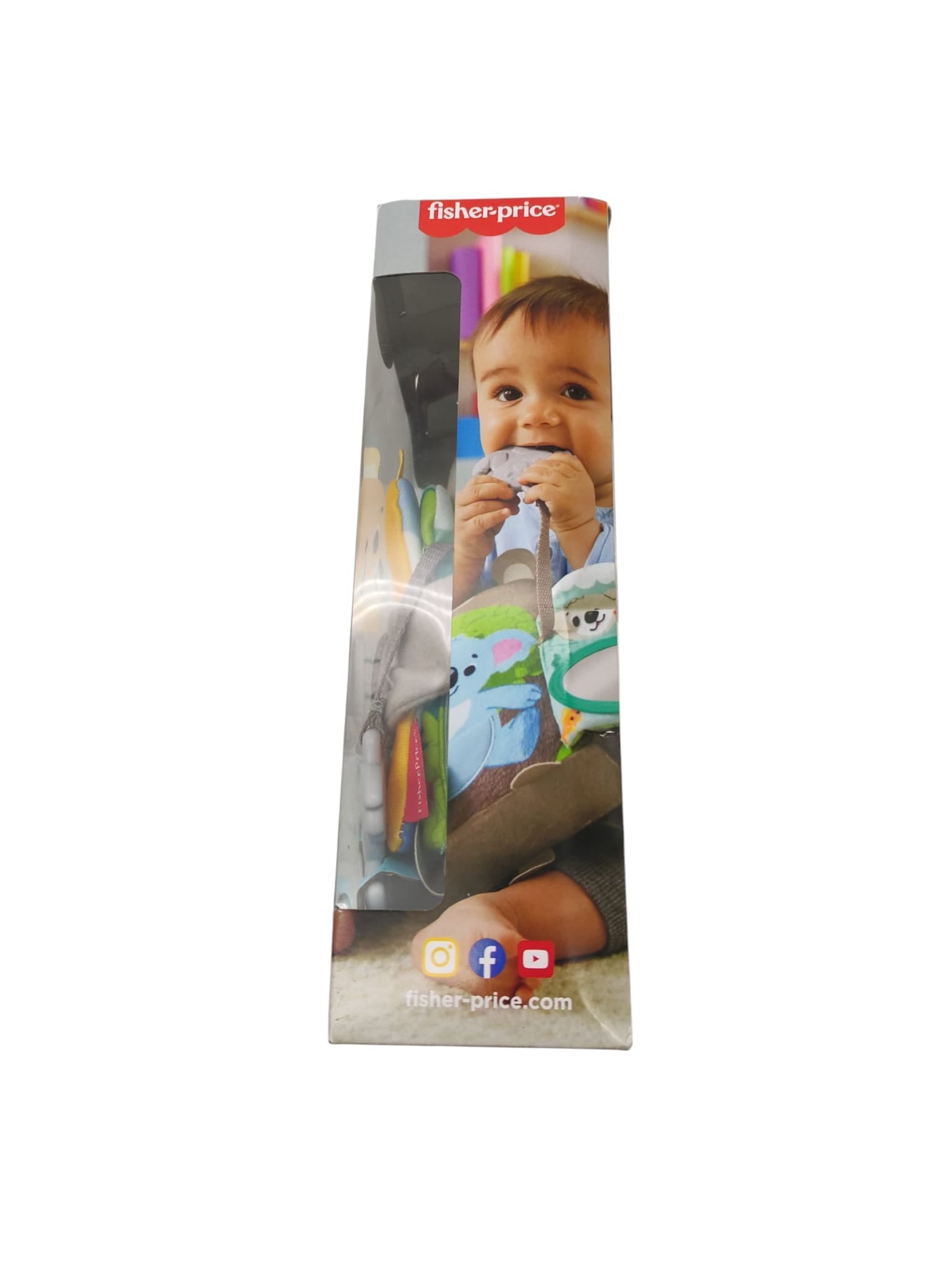 Fisher-Price Baby-Spielbuch