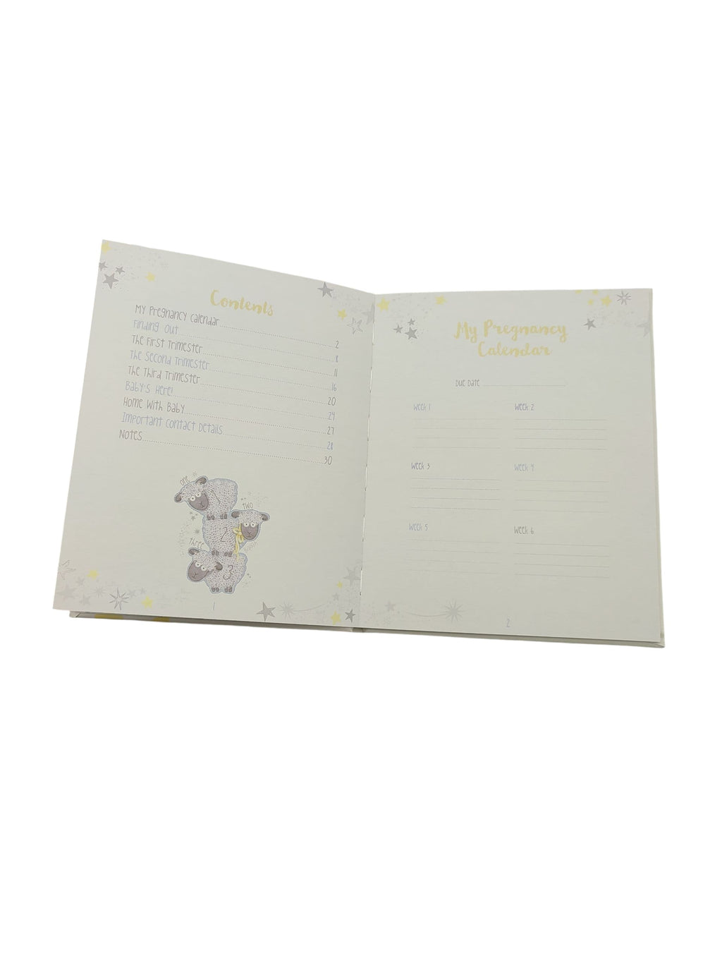 Tiny Tatty Teddy Me to You AGE92006 Schwangerschaftstagebuch