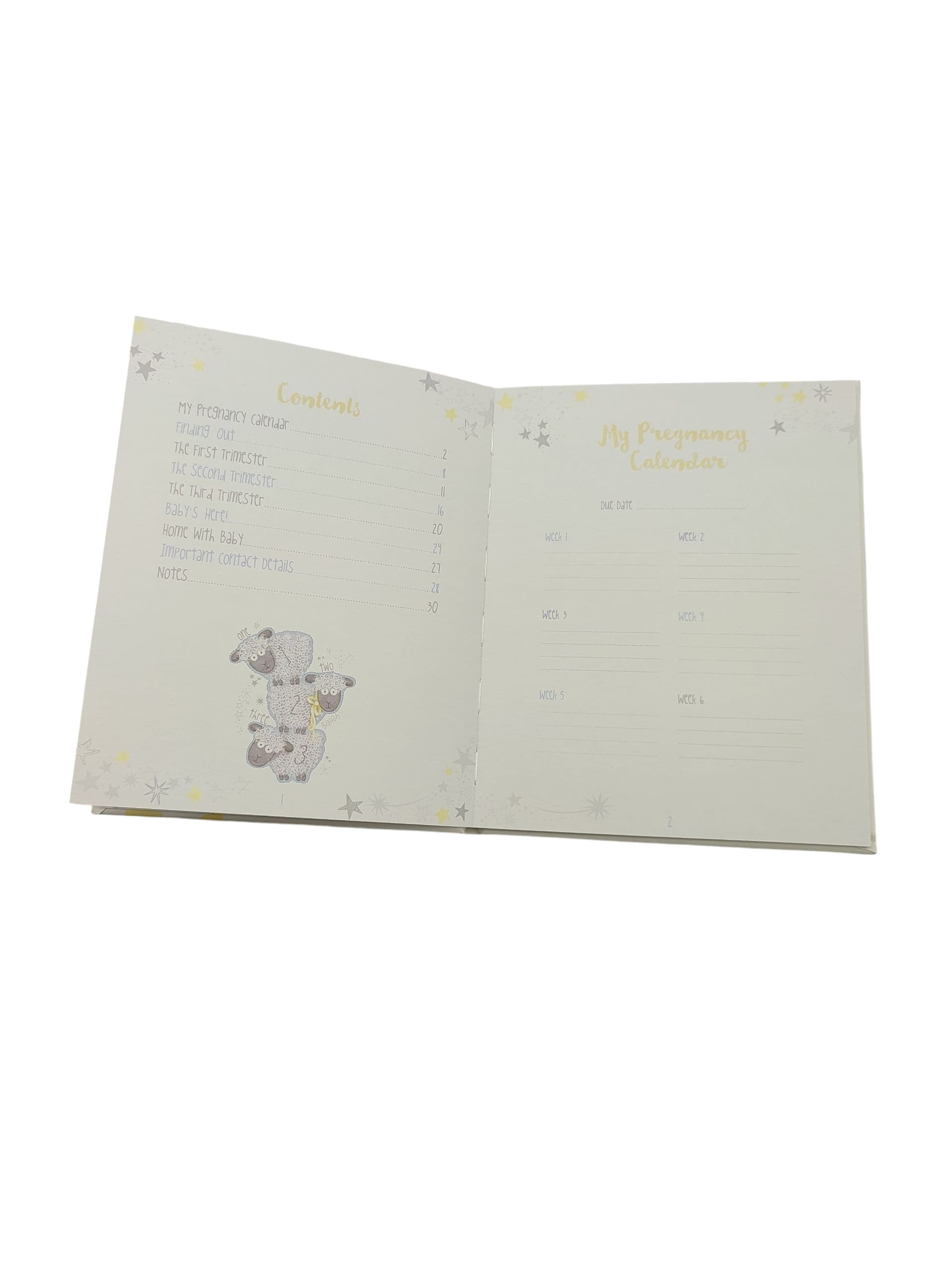 Tiny Tatty Teddy Me to You AGE92006 Schwangerschaftstagebuch